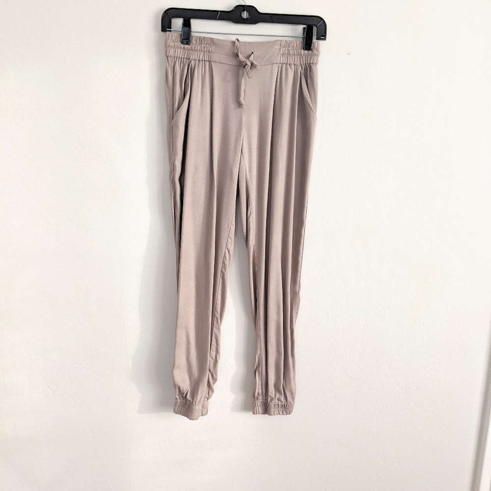 Aritzia jogger